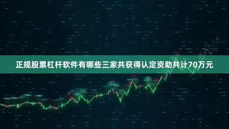 正规股票杠杆软件有哪些三家共获得认定资助共计70万元